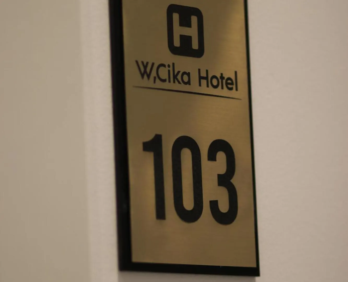 W Cika Hotel 보르쉬 여관